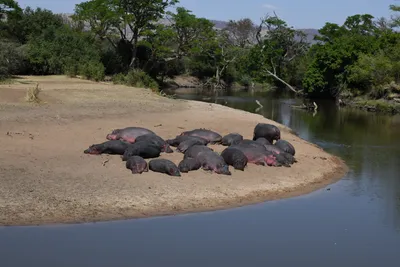 DSC_3515 (Large).JPG